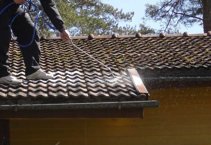 sammaleen poisto katolta hinta