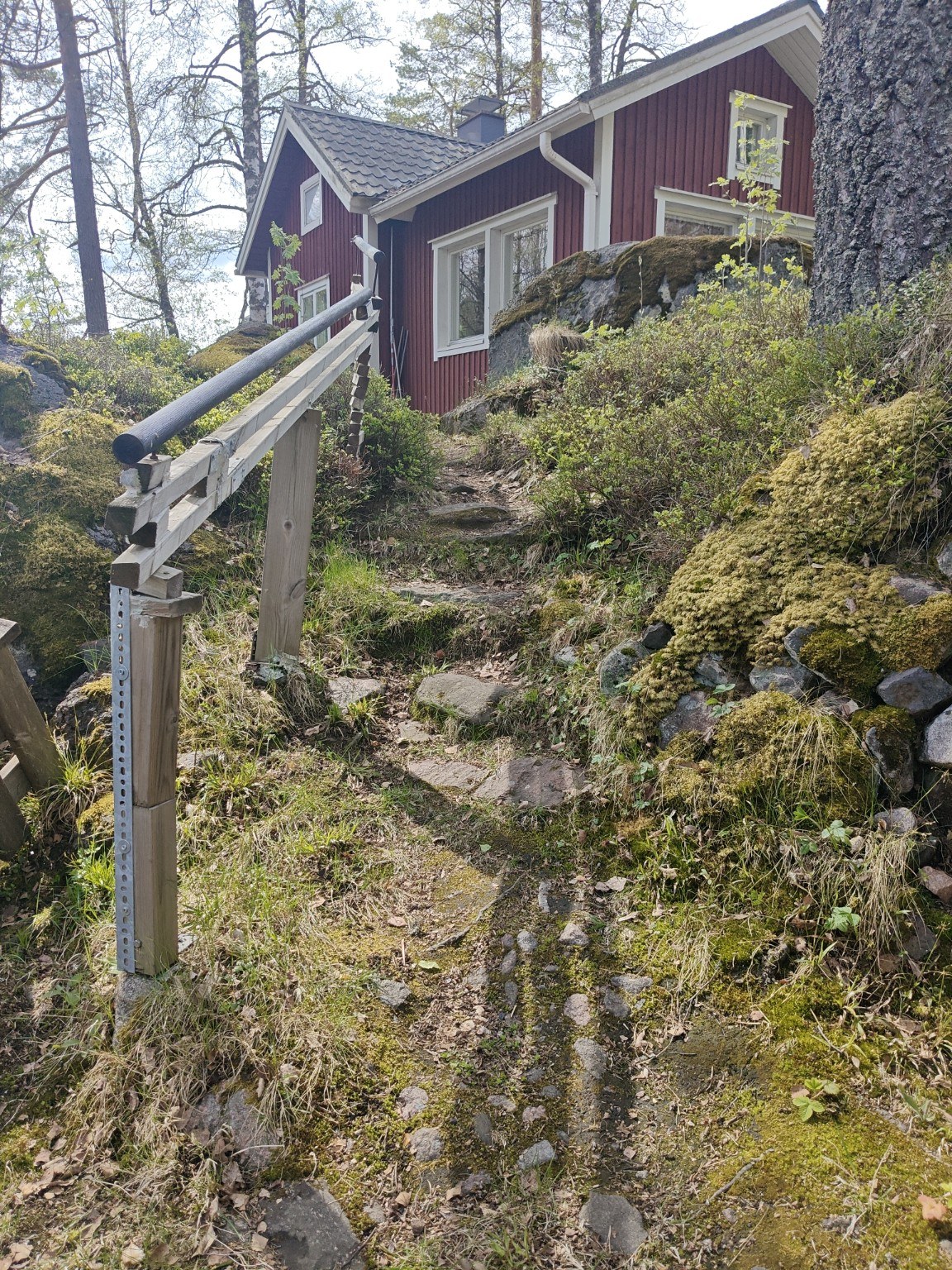 Puuportaat ja kulkuväylä mökille